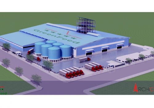 Green Feed Perspective